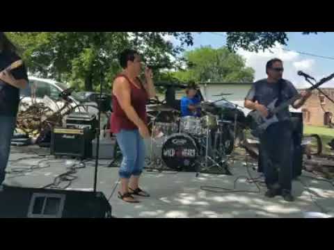 Promotional video thumbnail 2 for Wild Heart
