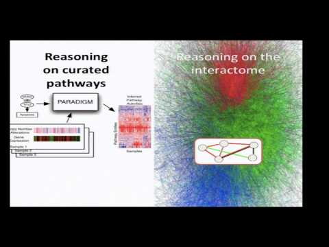 16. Redes de interação de proteínas