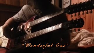 Wonderful One (cover) page and plant (double neck)