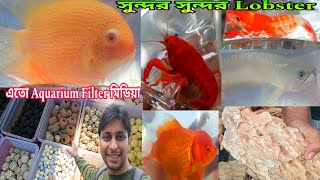Aquarium Fish Accessories শ্রীরামপুর হাট | Shrirampur Pet Market | শ্রীরামপুর রঙিন মাছের হাটে 