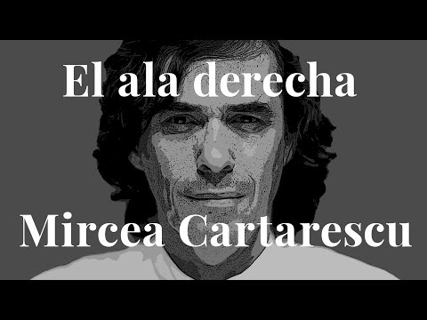 Vidéo de Mircea Cartarescu