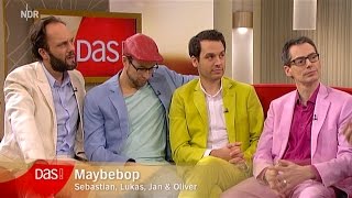 MAYBEBOP bei NDR 