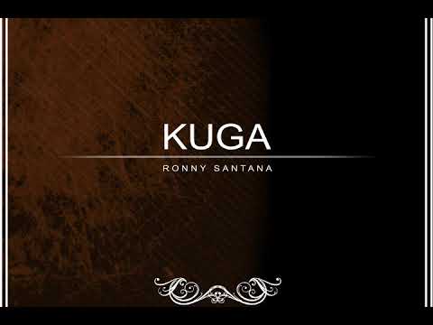 Ronny Santana - Kuga (Original mix) AHR132