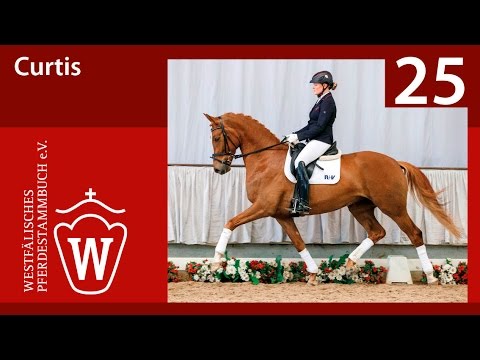 25 Curtis Wallach v. Charmeur - Lauries Crusador xx