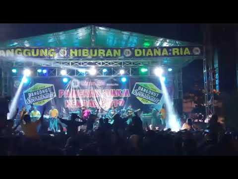 Adella mundur Alon Alon