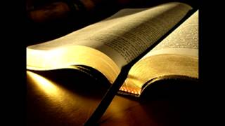 Don&#39;t judge or condemn your brother or sister over every little thing.