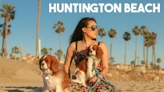 Huntington Beach Dog Beach | Dog Friendly Los Angeles California