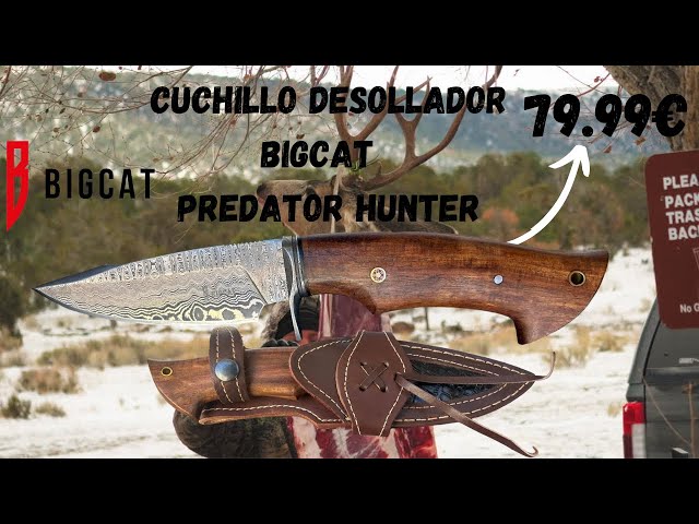 Vídeo relacionado con BIGCAT ROAR 25.4 cm Cuchillo de caza de Damasco hecho a mano con funda de cuero - Ideal para desollar, acampar - EDC Cuchillo de hoja fija con mango de madera de nogal - Predator Hunter
