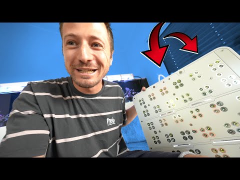 Die HEFTIGSTE Aquarium LAMPE der WELT! 😍