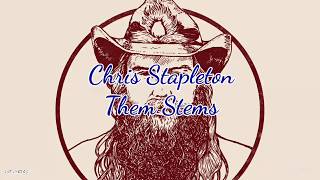 Chris Stapleton - Them Stems (Lyrics)