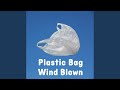 Wind Blown