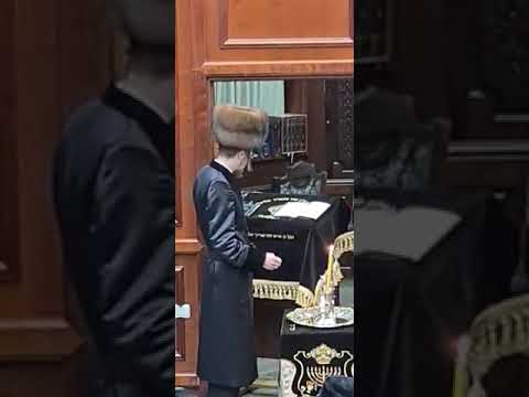 Channukah at the new Sadiger Rabbi