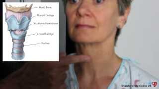 Examination of the Trachea