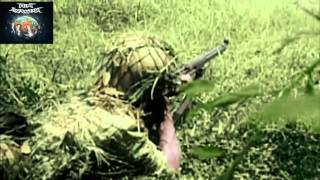 HOLD THE LINE (Official Video)