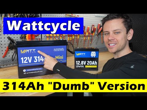 NEW! Wattcycle "Dumb" 314Ah LiFePO4 (and 20Ah fast teardown!)