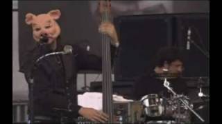 Les Claypool: Hendershot: Bonnaroo 2008