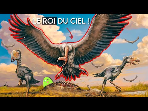 ARGENTAVIS | The largest bird of prey that EVER existed!