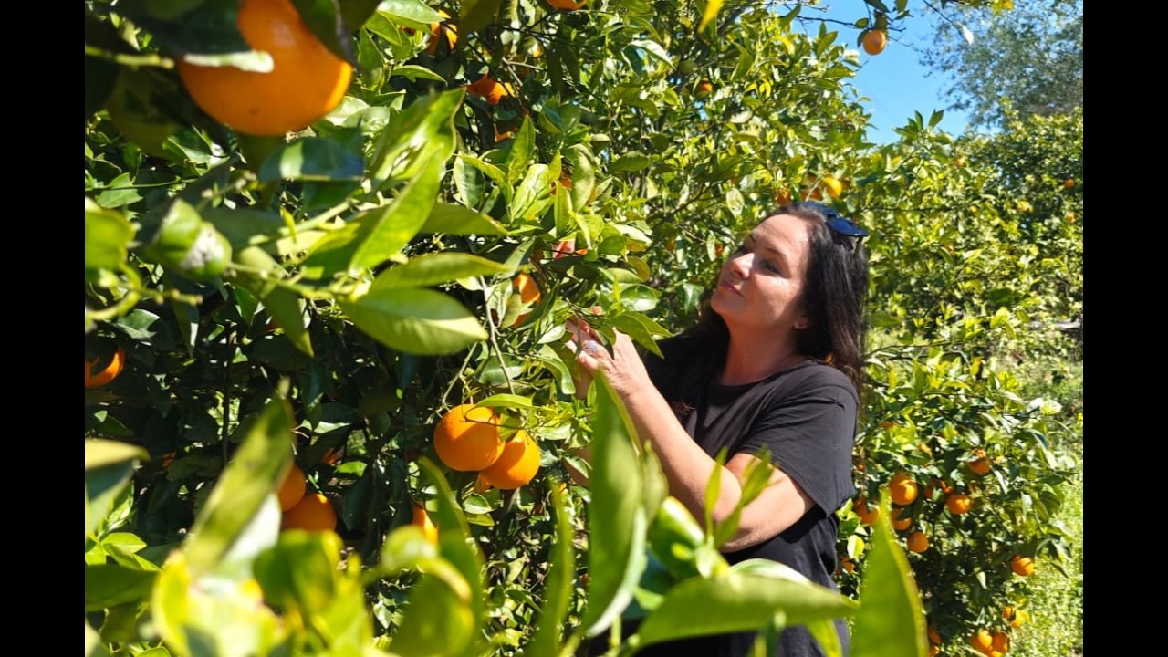 My New Life in Oliva Valencia Spain!