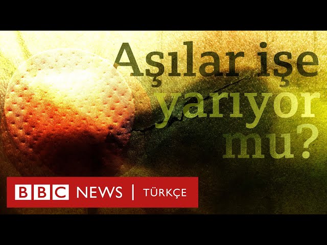 Türk'de aşı Video Telaffuz