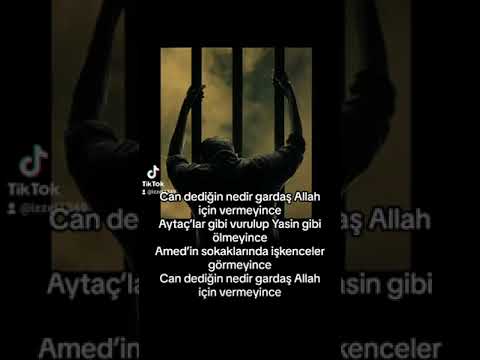 Can dediğin nedir gardaş Allah için vermeyince