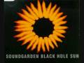 Black Hole Sun- Soundgarden 