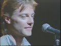 Snowy White - Bird Of Paradise
