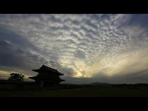nara 1min014nara heijyo palace