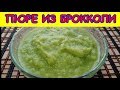 Пюре из брокколи,как приготовить правильно Пюре из брокколи,как приготовить правильно