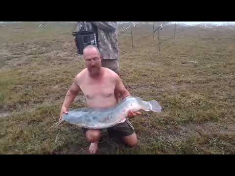 Monster Catfish caught in South Africa - new record - Vaal dam