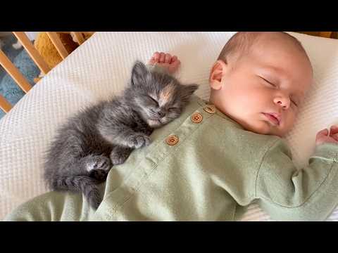 YouTube 썸네일