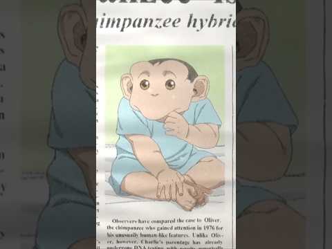 NUEVO ANIME: EL INCIDENTE DARWIN