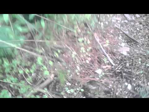 Se la vita reale fosse un videogioco parte 1