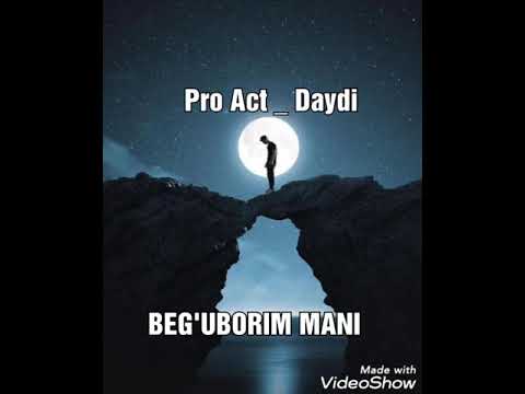 PRO ACT - DAYDI