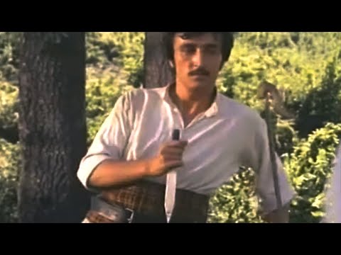 Гоце Николовски - Како пиреј / Goce Nikolovski - Kako pirej