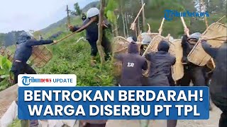 Kronologi Bentrokan Berdarah Warga Adat Sihaporas Vs Pekerja PT TPL, Puluhan Orang Jadi Korban