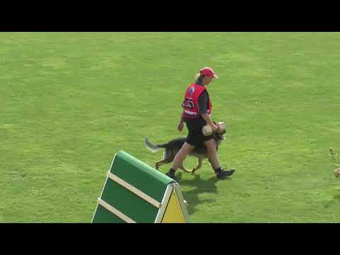 Falco Erpemos - MM ČKNO 2021 - B: 82