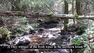 Månegarm Hemfärd plus English lyrics(Fanvideo)