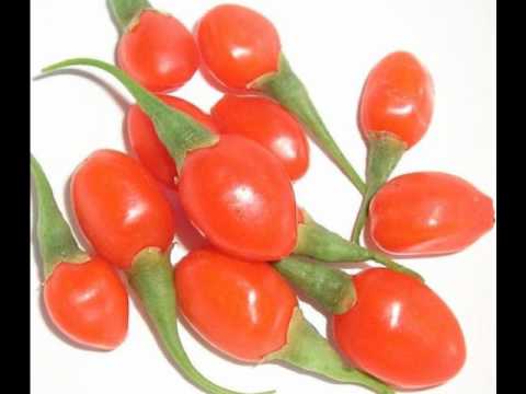 Pamamaraan ng pagbaba ng timbang ng droga Pool sa kumuha alisan ng cellulite