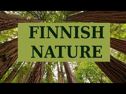 Finnish nature 2021 / Jean Sibelius "Finlandia"