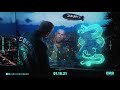 RAF Camora - Zukunft 2 I Snippet | 01.10.2021 RAF Camora - Zukunft 2 I Snippet | 01.10.2021