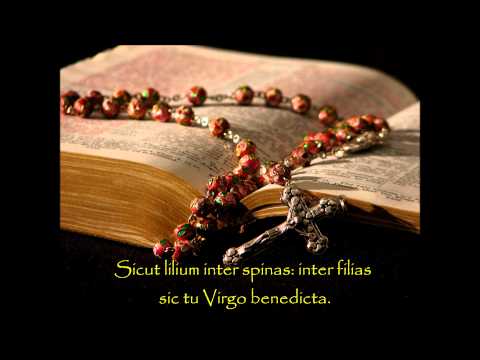 Tota Pulchra Es - Catholic Hymns of Praise