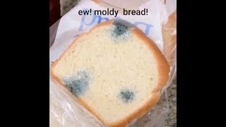 Klasky csupo 2002 BIG SCREEN Disney Pixar's Cartoon Edition and My Version