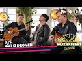 3JS - Wat is dromen • Muziekfeest op Zondag // Sterren NL