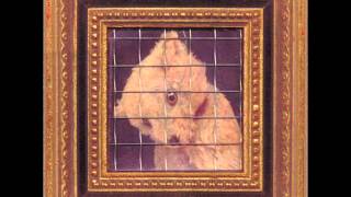Nurse With Wound || Chicken Concret