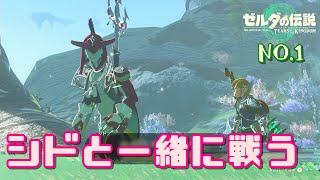 「ゼルダの伝説TofK」#1 空の魚とか鱗とか