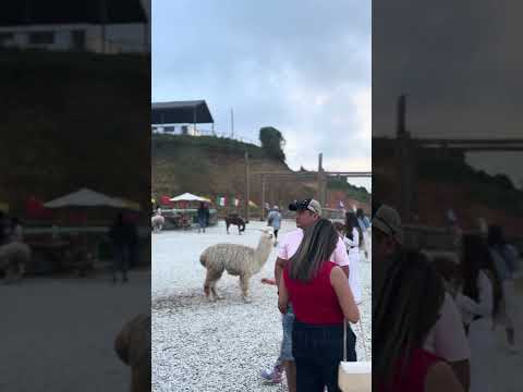 El Alto Del Chocho, Marinilla, Antioquia, Colombia 🇨🇴 (Nov 205)