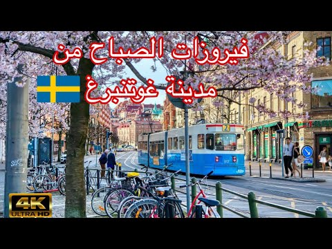 فيروزfiro . Feroz أجمل اغاني. صباح مع فيروز#fairuoz #فيروزيات_الصباح #قهوة_#صباح_الخير.السويد .