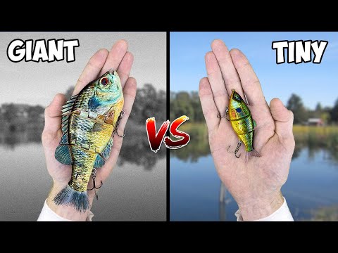 TINY Swimbait vs GIANT Swimbait Bass Fishing Challenge! (EPIC)