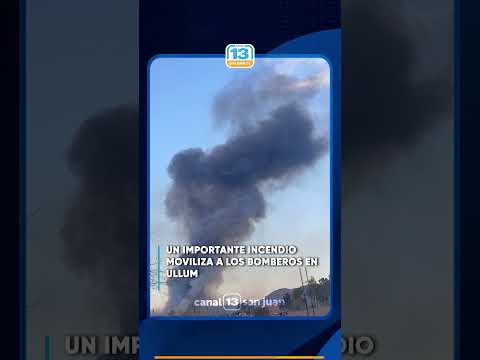 Un importante incendio moviliza a los bomberos en Ullum