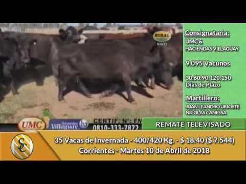 10- 4-18 - Remate Televisado de UMC & HACIENDAS VILLAGUAY-  Corrientes